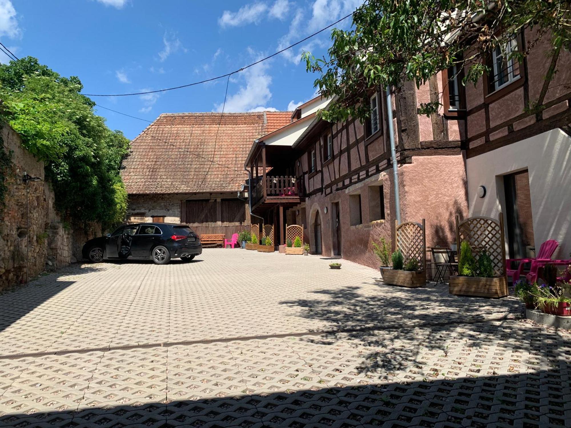 Apartament Doux Refuge Avec Terrasse Parking Gratuit Beblenheim Zewnętrze zdjęcie